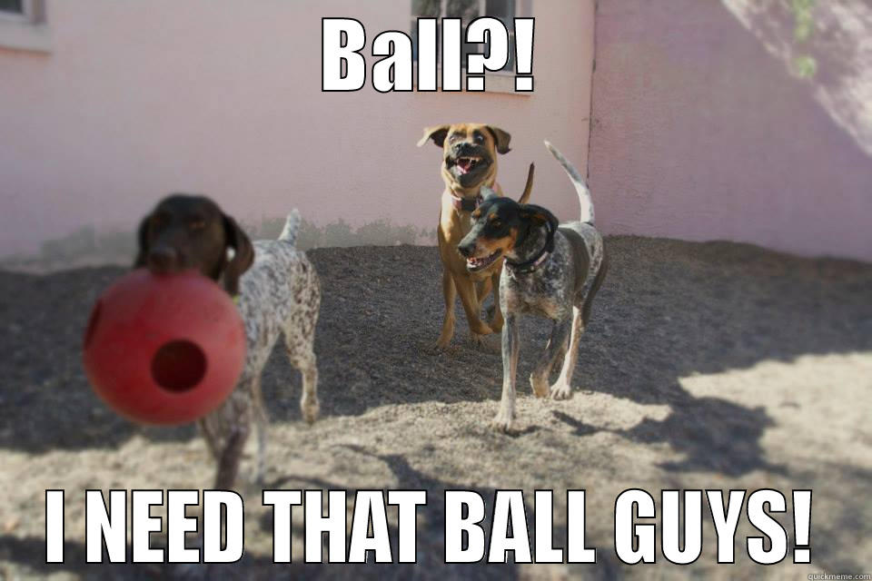 BALL?! I NEED THAT BALL GUYS! Misc