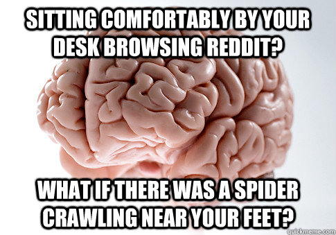 sitting comfortably by your desk browsing reddit? what if there was a spider crawling near your feet?  Scumbag Brain