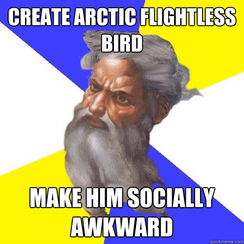 Create arctic flightless bird make him socially awkward  Advice God