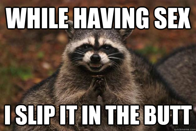 While having sex I slip it in the butt  Evil Plotting Raccoon