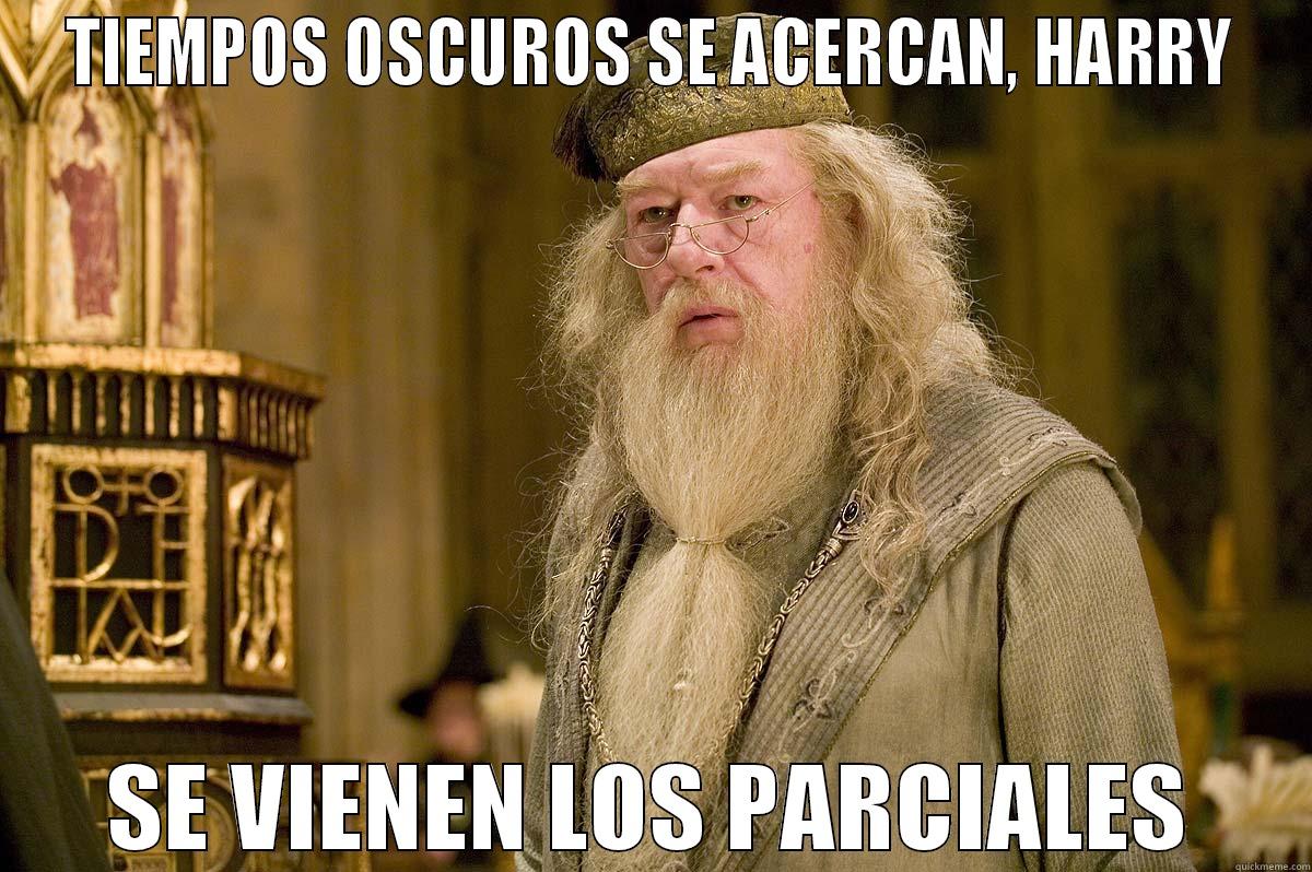 dumbledore en la facu - TIEMPOS OSCUROS SE ACERCAN, HARRY SE VIENEN LOS PARCIALES Misc