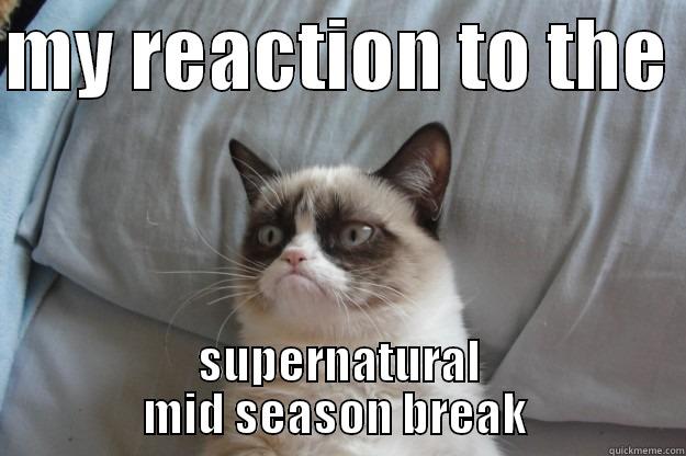 supernatural  - MY REACTION TO THE  SUPERNATURAL MID SEASON BREAK  Grumpy Cat