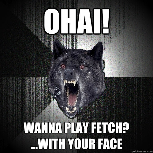 ohai! wanna play fetch?
...with your face  Insanity Wolf