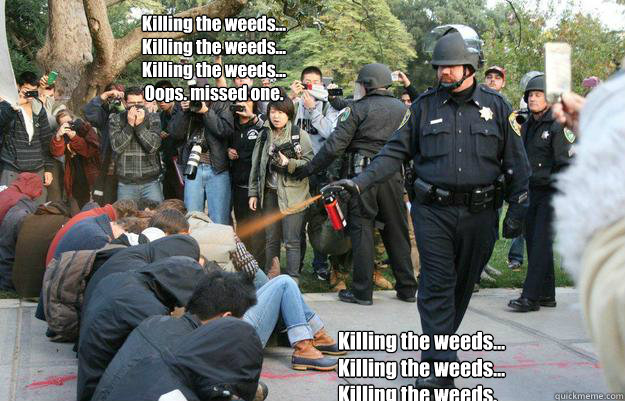 Killing the weeds...
Killing the weeds...
Killing the weeds...
Oops. missed one. Killing the weeds...
Killing the weeds...
Killing the weeds.  Pimp Pepper Spray Cop