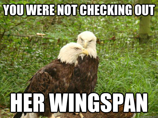 You were not checking out  her wingspan - You were not checking out  her wingspan  Misc