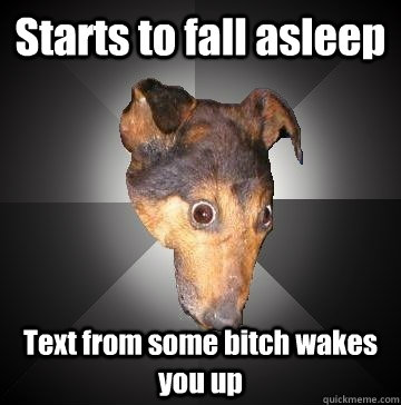 Starts to fall asleep Text from some bitch wakes you up  Depression Dog