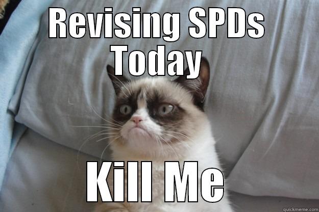 REVISING SPDS TODAY KILL ME Grumpy Cat