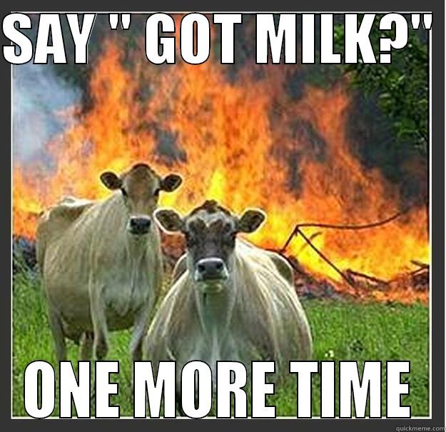 got milk? - SAY 