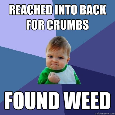 reached into back for crumbs FOUND WEED  Success Kid