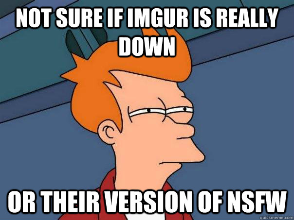 Not sure if Imgur is really down Or their version of NSFW  Futurama Fry