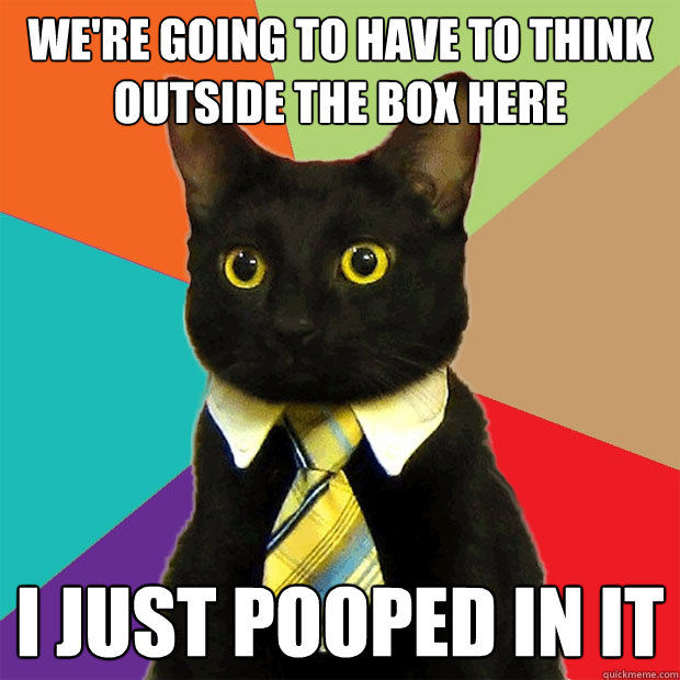 We're going to have to think outside the box here I just pooped in it  Business Cat