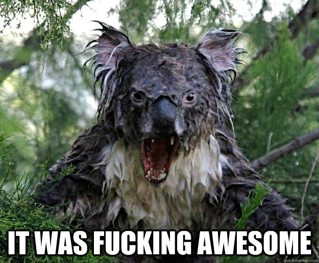  It Was Fucking awesome  Demon Koala