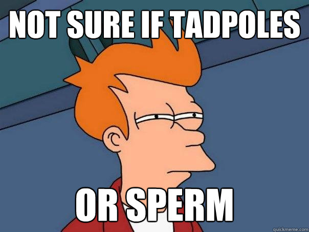 Not sure if tadpoles Or Sperm  Futurama Fry