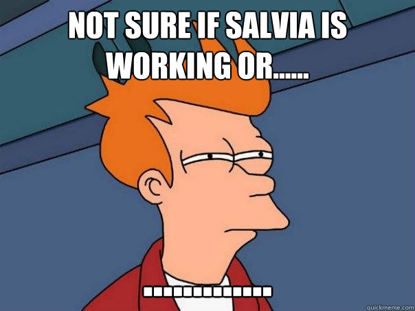 Not sure if salvia is working or...... .............  Futurama Fry