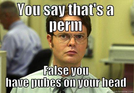 squirrel ff - YOU SAY THAT'S A PERM FALSE YOU HAVE PUBES ON YOUR HEAD Schrute