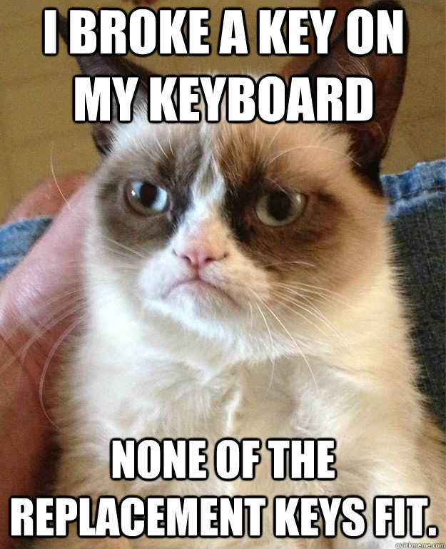 I broke a key on my keyboard None of the replacement keys fit.  Grumpy Cat