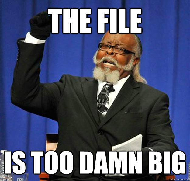 The File IS TOO DAMN BIG  Jimmy McMillan