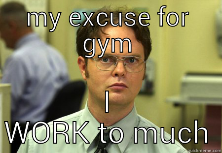 MY EXCUSE FOR GYM I WORK TO MUCH Schrute