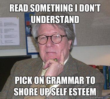 READ SOMETHING I DON'T UNDERSTAND PICK ON GRAMMAR TO SHORE UP SELF ESTEEM  Humanities Professor