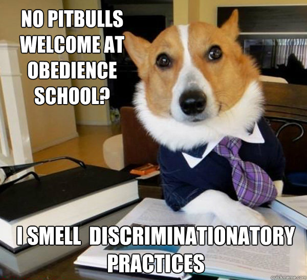 no pitbulls welcome at obedience school? i smell  discriminationatory practices  Lawyer Dog