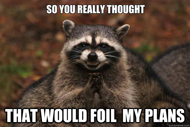 so you really thought that would foil  my plans - so you really thought that would foil  my plans  Evil Plotting Raccoon