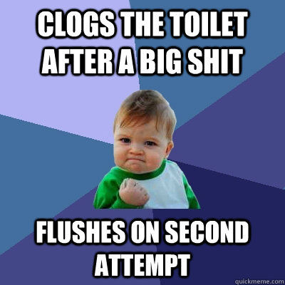 Clogs the toilet after a big shit Flushes on second attempt  Success Kid