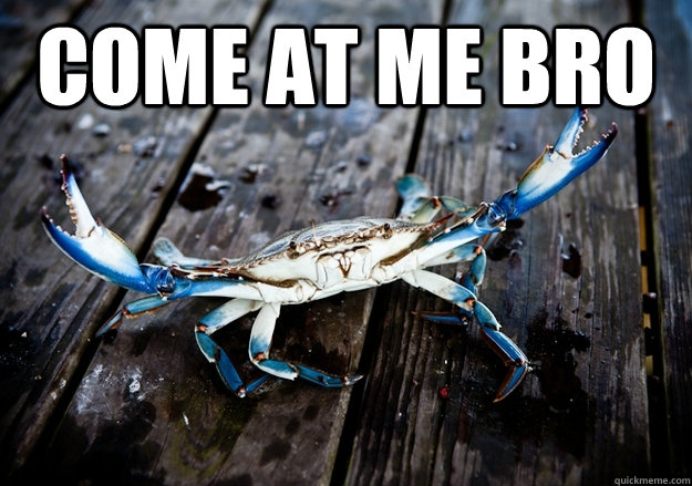 come at me bro   blue crab