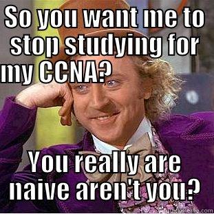 SO YOU WANT ME TO STOP STUDYING FOR MY CCNA?                                                                 YOU REALLY ARE NAIVE AREN'T YOU? Condescending Wonka