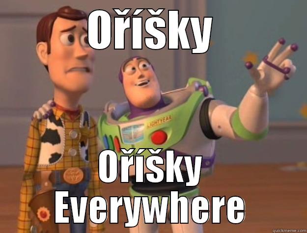 OŘÍŠKY OŘÍŠKY EVERYWHERE Toy Story