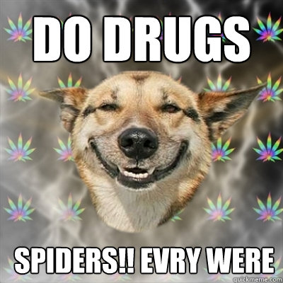 do drugs   spiders!! evry were - do drugs   spiders!! evry were  Stoner Dog