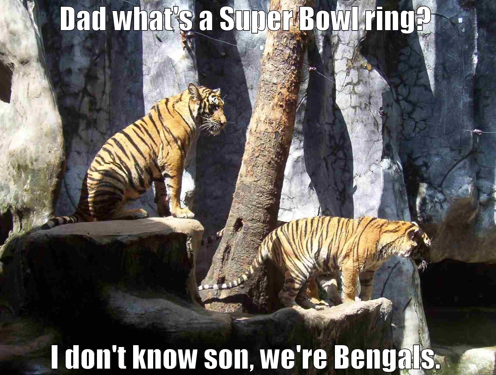 DAD WHAT'S A SUPER BOWL RING? I DON'T KNOW SON, WE'RE BENGALS. Misc