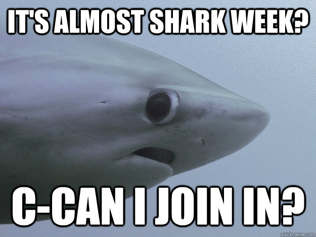 It's Almost Shark Week? C-can i join in?  