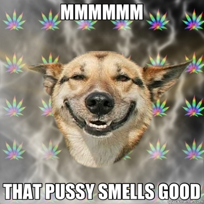 MMMMMM THAT PUSSY SMELLS GOOD  Stoner Dog