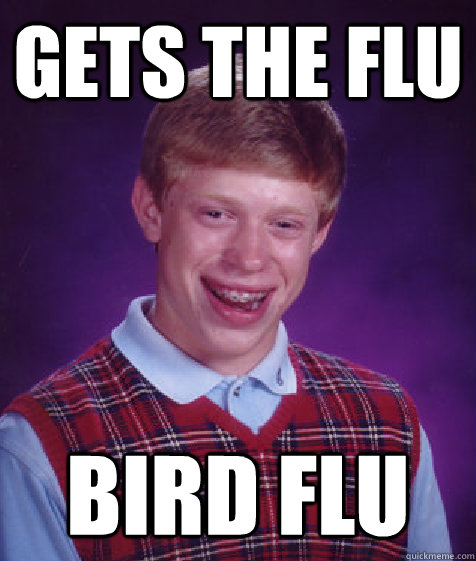 Gets the flu Bird flu  Bad Luck Brian