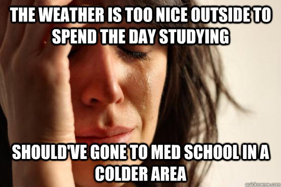 the weather is too nice outside to spend the day studying should've gone to med school in a colder area - the weather is too nice outside to spend the day studying should've gone to med school in a colder area  First World Problems