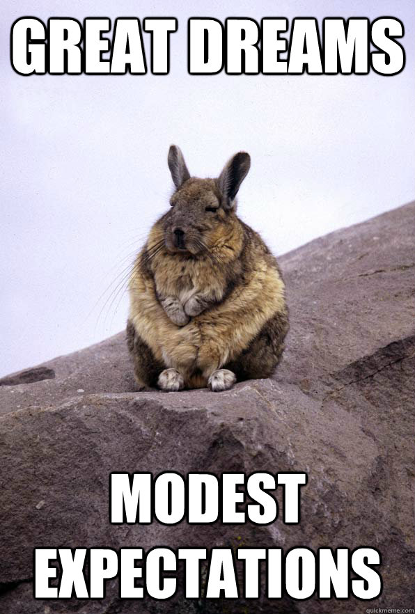 Great dreams Modest expectations  Wise Wondering Viscacha