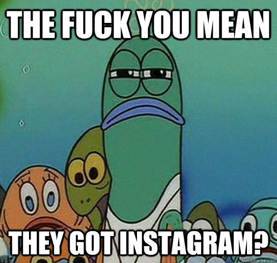 the fuck you mean they got instagram?  Serious fish SpongeBob