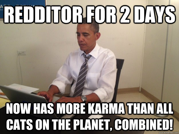 Redditor for 2 days Now has more karma than all cats on the planet, combined! - Redditor for 2 days Now has more karma than all cats on the planet, combined!  AMA Obama