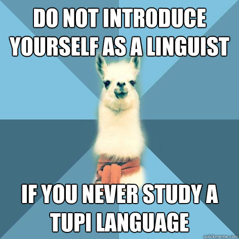 do not introduce yourself as a linguist if you never study a tupi language
  Linguist Llama