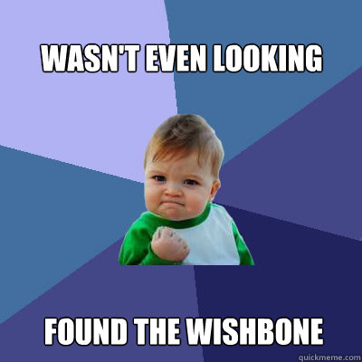 Wasn't even looking found the wishbone - Wasn't even looking found the wishbone  Success Baby