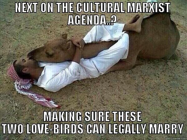 NEXT ON THE CULTURAL MARXIST AGENDA..? MAKING SURE THESE TWO LOVE-BIRDS CAN LEGALLY MARRY Misc