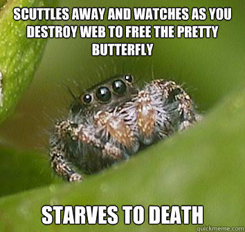 scuttles away and watches as you destroy web to free the pretty butterfly 
starves to death - scuttles away and watches as you destroy web to free the pretty butterfly 
starves to death  Misunderstood Spider