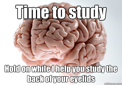 Time to study Hold on while I help you study the back of your eyelids   Scumbag Brain