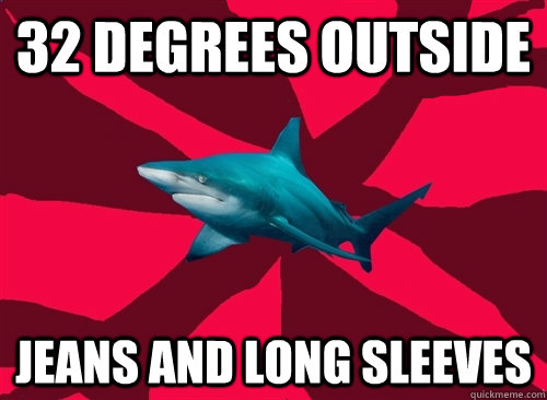 32 degrees outside jeans and long sleeves  Self-Injury Shark