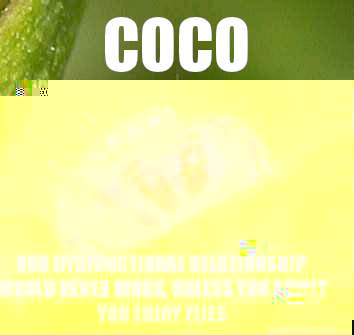 Coco Our dysfunctional relationship would never work, unless you admit you enjoy flies  Misunderstood Spider