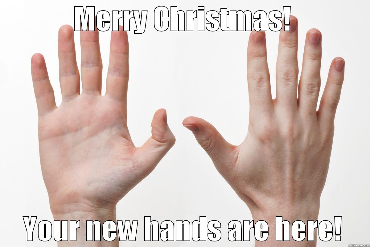 MERRY CHRISTMAS! YOUR NEW HANDS ARE HERE! Misc