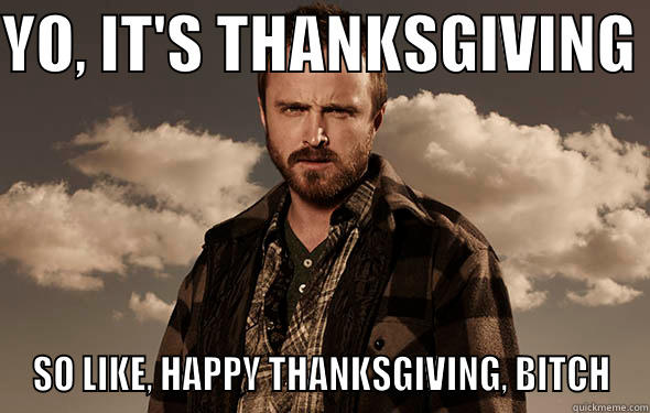 Happy Thanksgiving, Bitch - YO, IT'S THANKSGIVING  SO LIKE, HAPPY THANKSGIVING, BITCH Misc