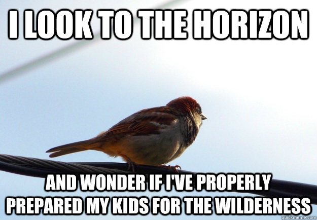 I look to the horizon And wonder if I've properly prepared my kids for the wilderness  Horizon Bird