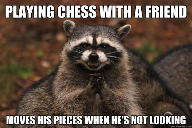 playing chess with a friend moves his pieces when he's not looking   Evil Plotting Raccoon