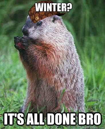 winter? it's all done bro - winter? it's all done bro  Scumbag Groundhog